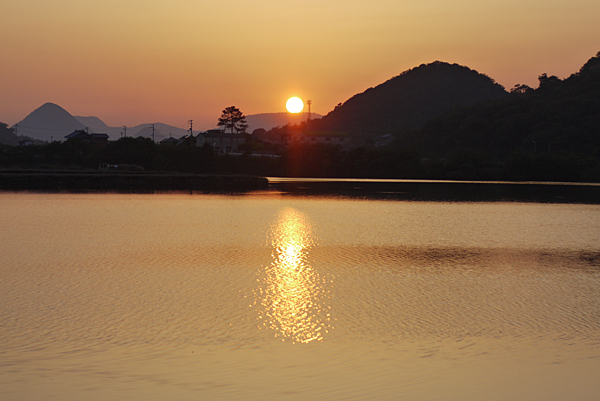 20130603_1258124.jpg