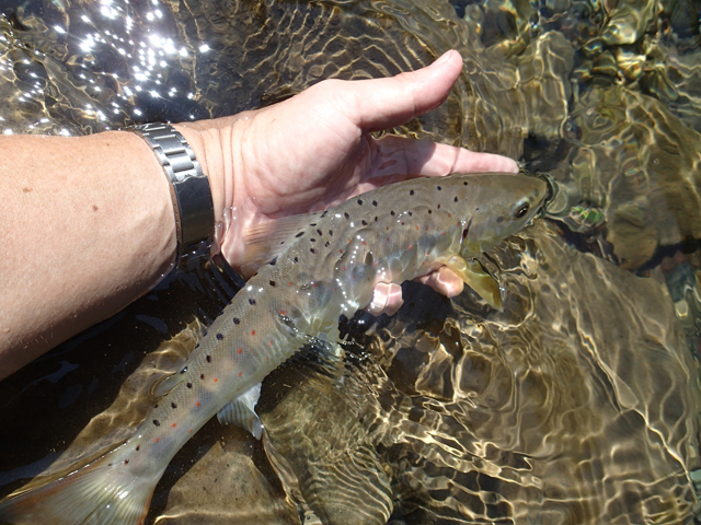 20130820_1480911.jpg