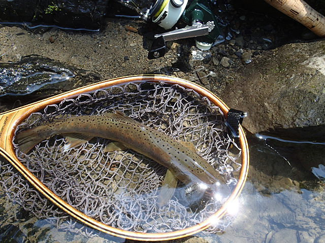 20130820_1480912.jpg