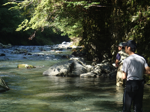 20130914_1553411.jpg