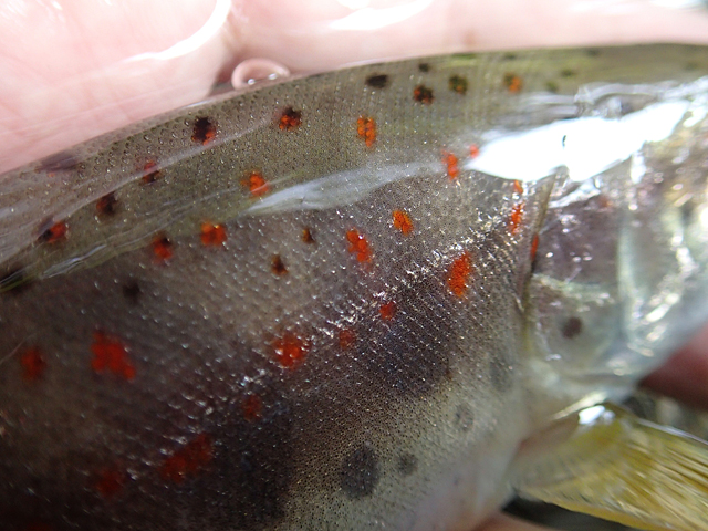 20130914_1553413.jpg