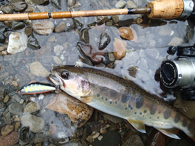 20130928_1593820.jpg