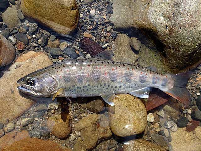 20130928_1593821.jpg