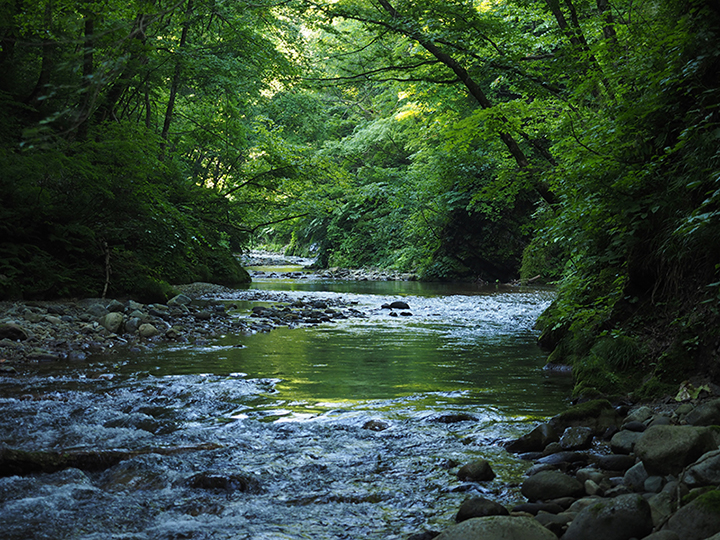 287touhoku3.jpg