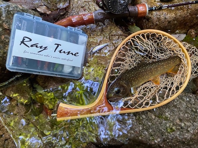 Raytune