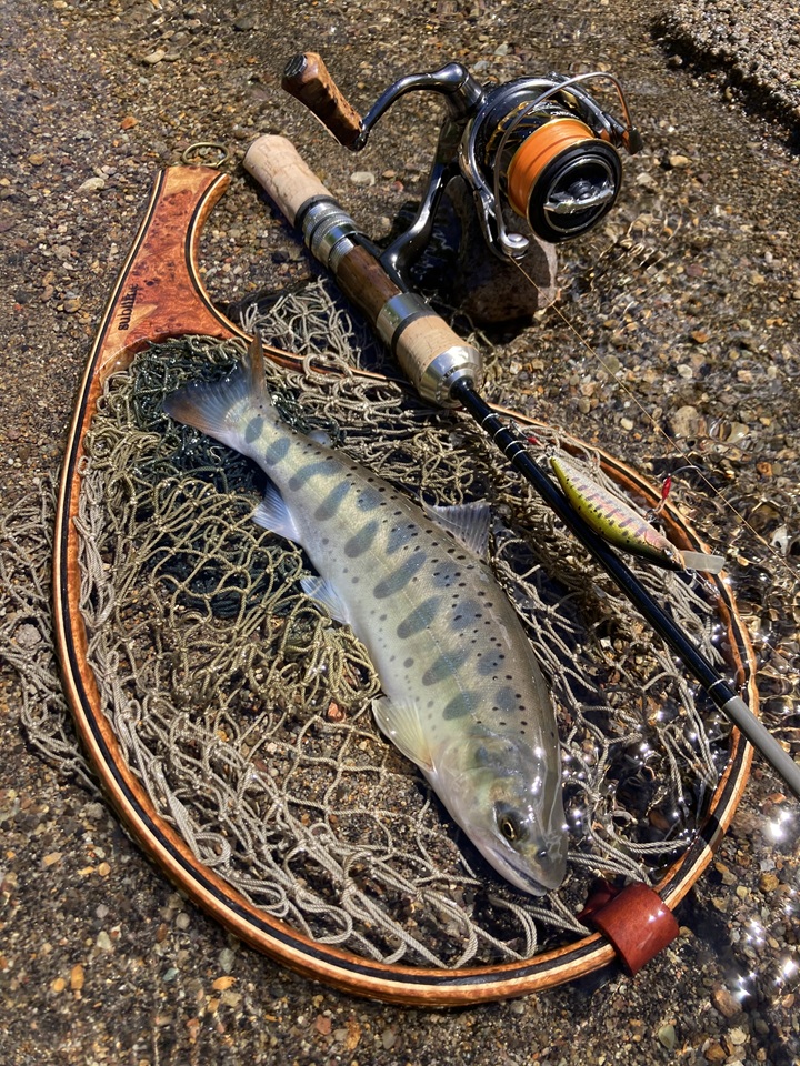 Ray Tune ULTIMATE grade ハンドメイドミノー50F Ray Tune Full