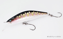 GENE504
